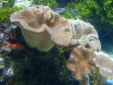 DSCN0829