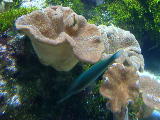 DSCN0830