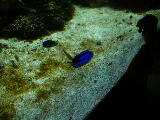 DSCN0834