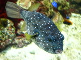 DSCN0835