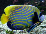 DSCN0837