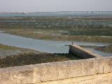 DSCN0850