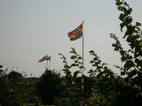 DSCN0861