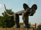 DSCN0863