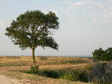 DSCN0866