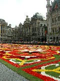 DSCN0987