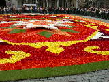 DSCN0988