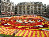 DSCN0989