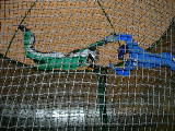 DSCN1134