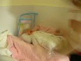 DSCN1302