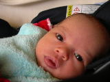 DSCN1498