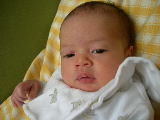 DSCN1529