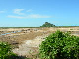 DSCN1908