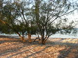 DSCN1919