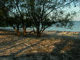 DSCN1920