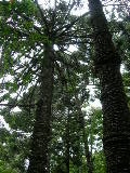 DSCN1928