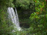DSCN1929
