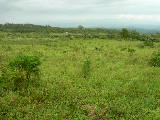 DSCN1932