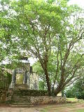 DSCN2054