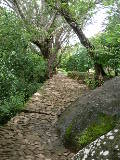 DSCN2068