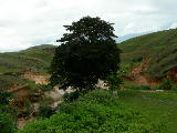 DSCN2109