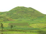 DSCN2111