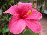 DSCN2112
