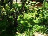 DSCN2126