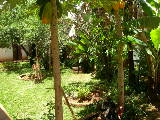 DSCN2128