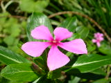 DSCN2130