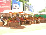 DSCN2143