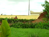 DSCN2167