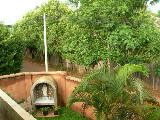 DSCN2181