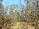 DSCN2414