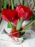 DSCN2628