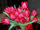DSCN2629