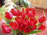 DSCN2633