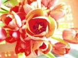 DSCN2635