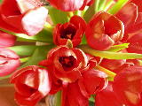 DSCN2636