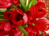 DSCN2637