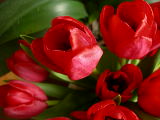 DSCN2638