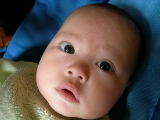 DSCN2646