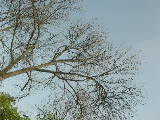 DSCN2781