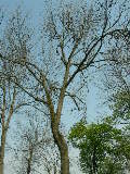 DSCN2783
