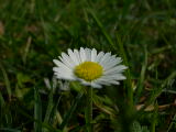 DSCN2803