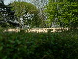 DSCN2808
