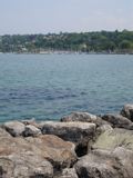 DSC09565
