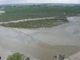 DSCN3004