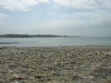 DSCN3067