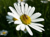 DSCN3173